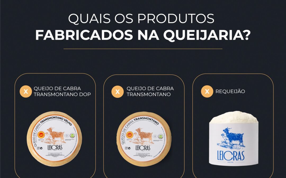 Quais os Produtos Fabricados na Queijaria?