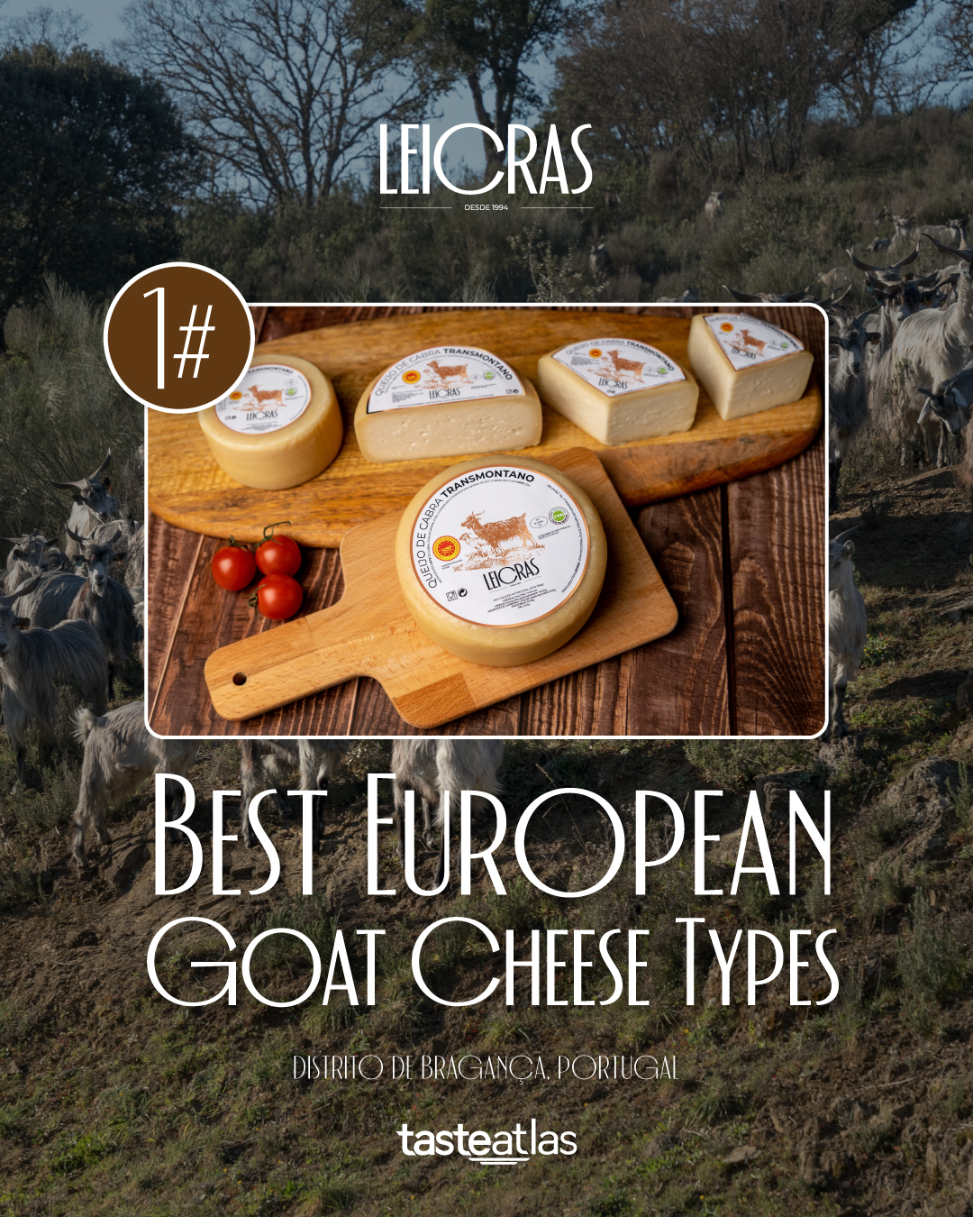 O Queijo de Cabra N.º 1 da Europa é Transmontano.